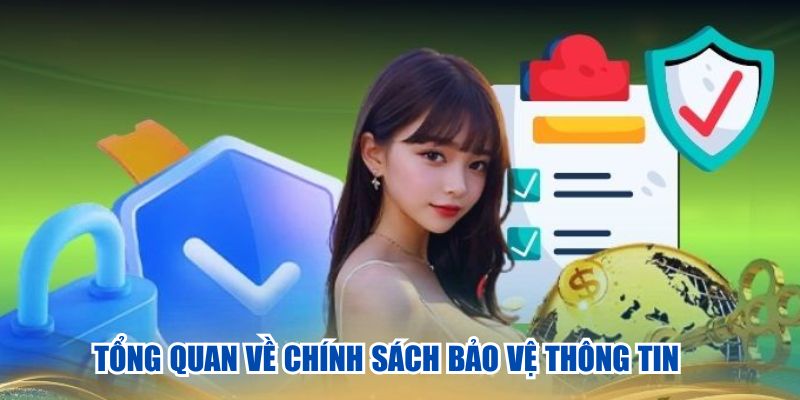 Tổng quan về chính sách bảo vệ thông tin