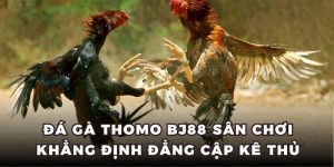 đá gà Thomo