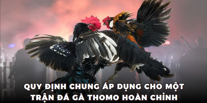 Quy định chung áp dụng cho một trận đá gà thomo hoàn chỉnh